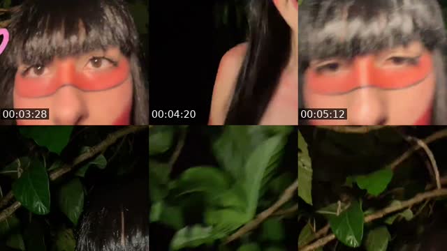 Selva - @mavis_indiazinha