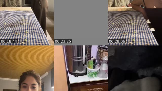 @alyena080 TikTok live from 2026-08-17