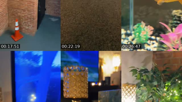 TikTok live: CE FAM™ TAKES SU HILL IRL by @colleenelizabethnyc