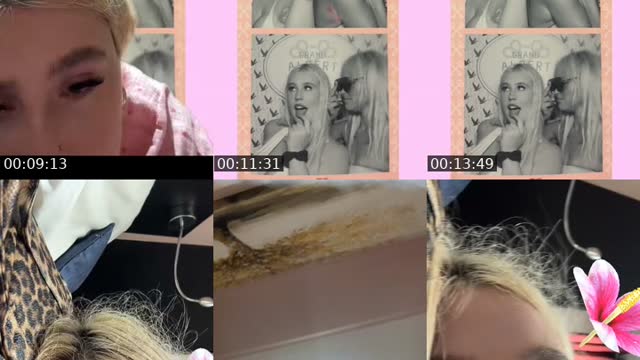 @reeseybum United States TikTok live from 2026-08-18