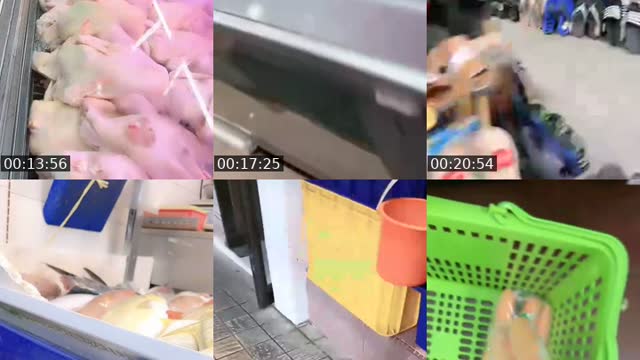 @rurirosa TikTok live from 2026-08-18