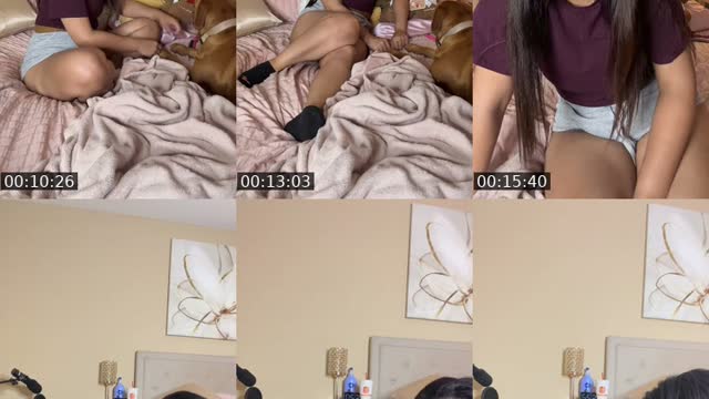 @isatorrress TikTok live from 2026-08-17