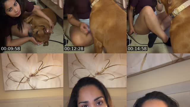 @isatorrress TikTok live from 2026-08-17