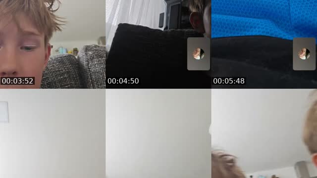 @dan54704 TikTok live from 2026-08-17