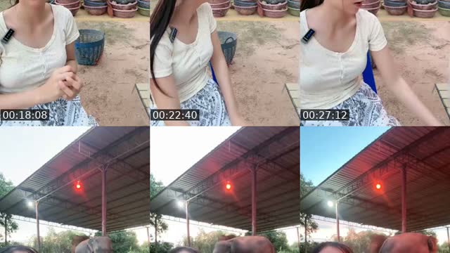 TikTok live: ผลไม้หวานๆพร้อมเสิร์ฟแล้วค่ะ🥰🐘🍌🍐🥰 by @cream_449900