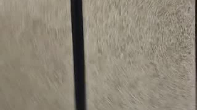 @laiaichartt._ TikTok live