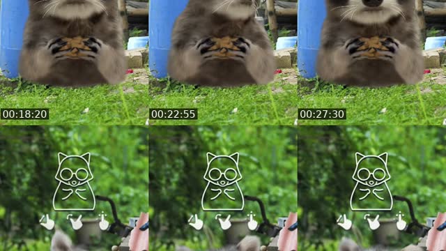TikTok live: Lets Go LIVE! by @dailyssong
