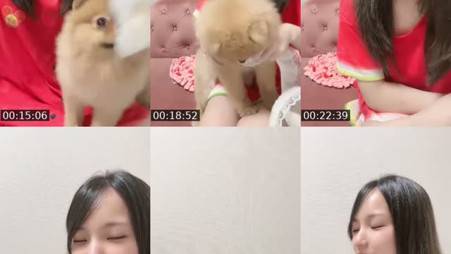 @omochi00mochimochi TikTok live from 2026-08-17
