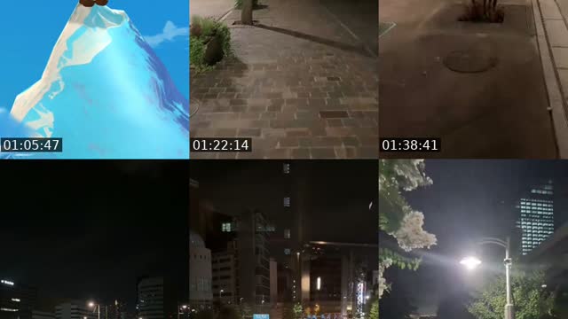 @shinshincaracara TikTok live from 2026-08-17