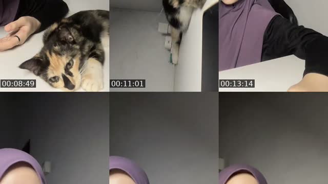 @hailnaa TikTok live from 2026-08-17