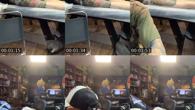 @tantrantattoo TikTok live