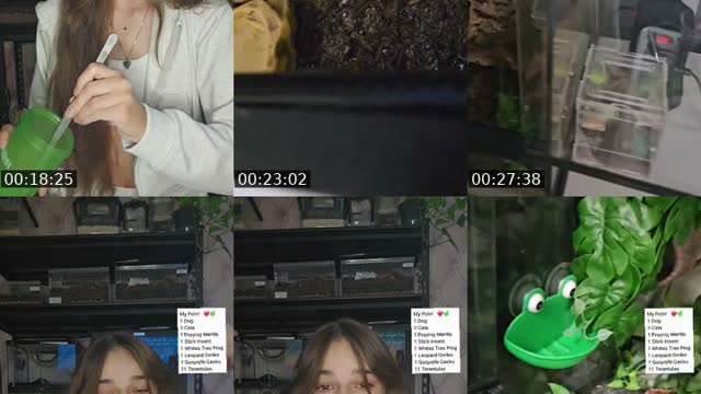 TikTok live: WARNING EXOTIC PETS-(I'm 19) by @skys.animal.zoo