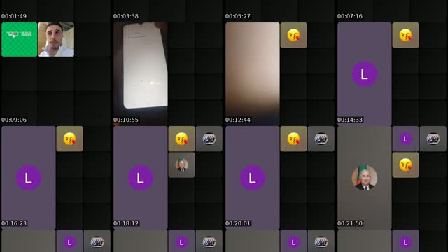 @lesforainsforaines2 TikTok live