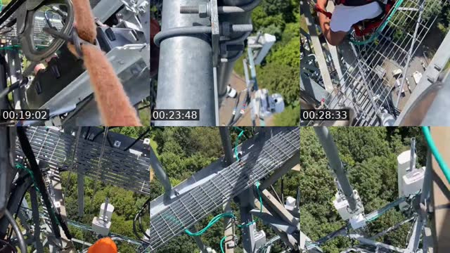 @fostertowerdawg TikTok live from 2026-08-18