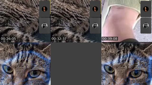 @eurekaeurek TikTok live from 2026-08-18