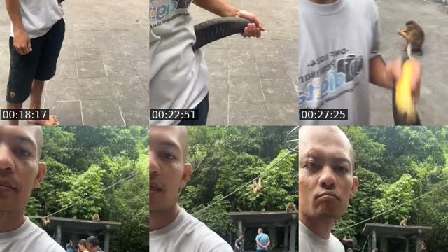 @detimmanik8 TikTok live from 2026-08-18