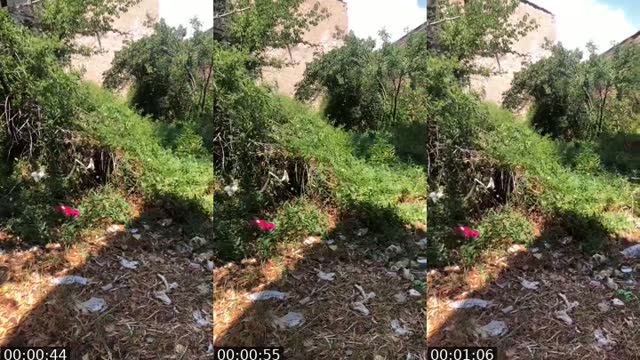 @buseme58 TikTok live