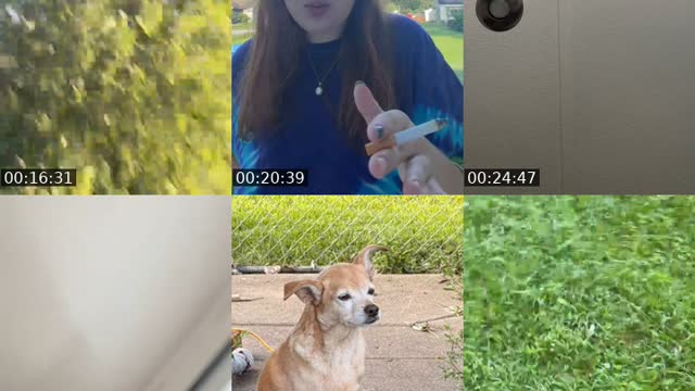 TikTok live: Hehe, joinnn. Teaaa by @dallycatgrace