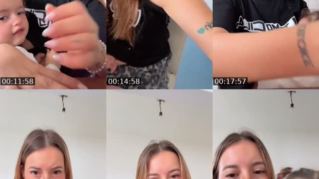 @barbipereira15 TikTok live from 2026-08-18
