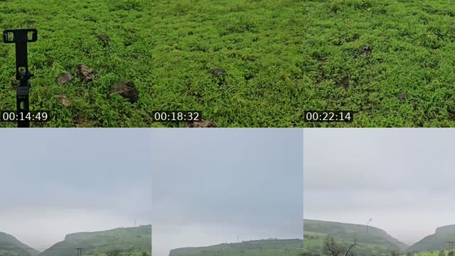 جبل ألسان صلاله - @ahmed_sll1