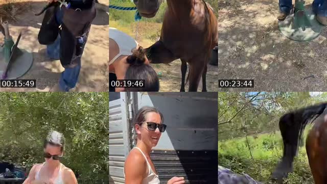 @thatfarmgirllaura TikTok live from 2026-08-18
