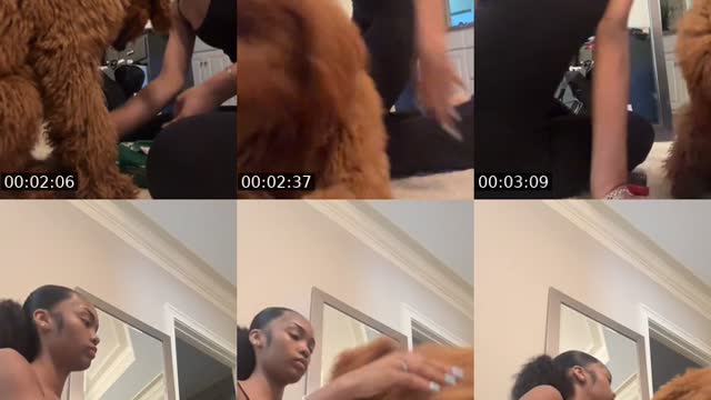 @missmommy TikTok live