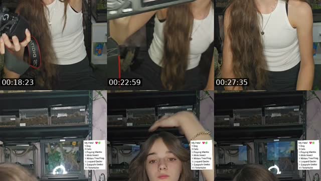 TikTok live: WARNING EXOTIC PETS-(I'm 19) by @skys.animal.zoo