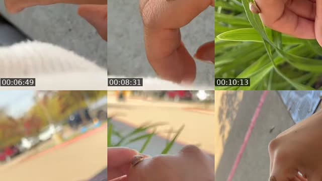 @isabelmontenegro.live TikTok live from 2026-08-18