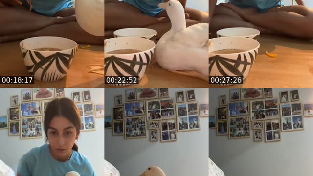 @edurneelopez._ TikTok live from 2026-08-18
