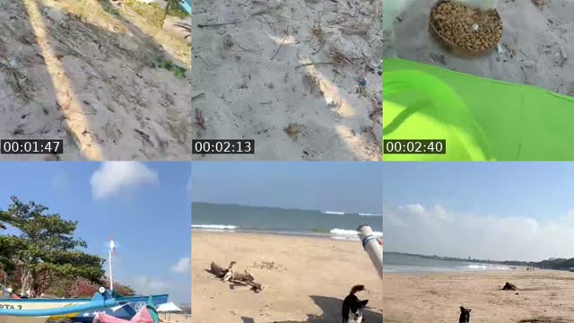 TikTok live: Salam kejengat-kejengit🐕🙏 by @streetdogsch