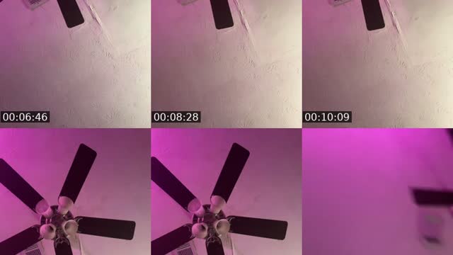 @kamikazikk TikTok live from 2026-08-19