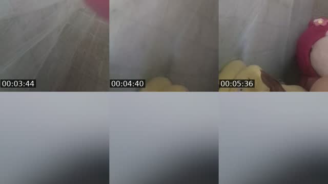 @user197598597 TikTok live