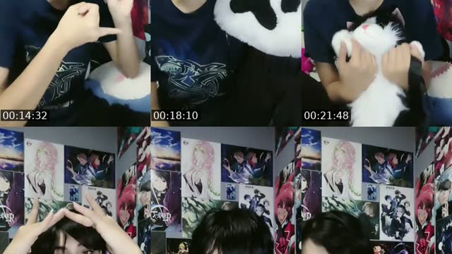 @shiro_mey TikTok live