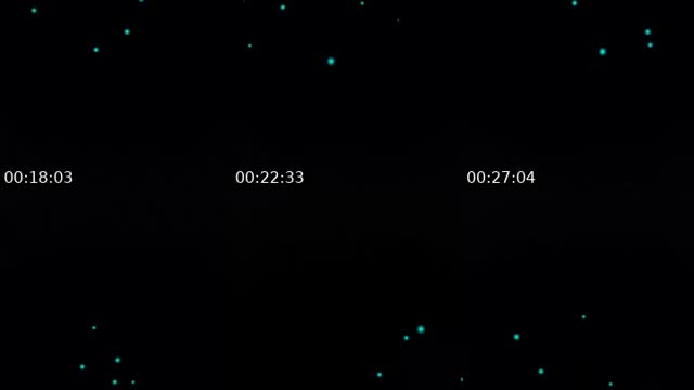 @tehtaha.06 TikTok live