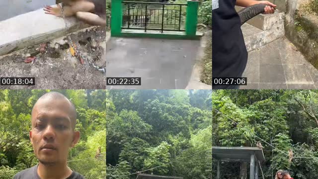 @detimmanik8 TikTok live from 2026-08-19