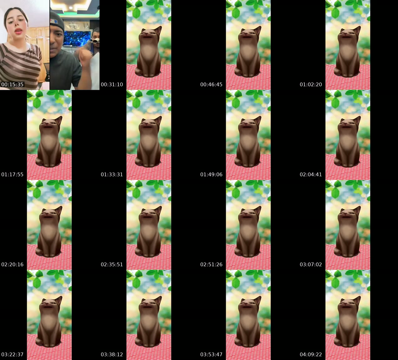 @kelly_2.008 TikTok live from 2026-07-28