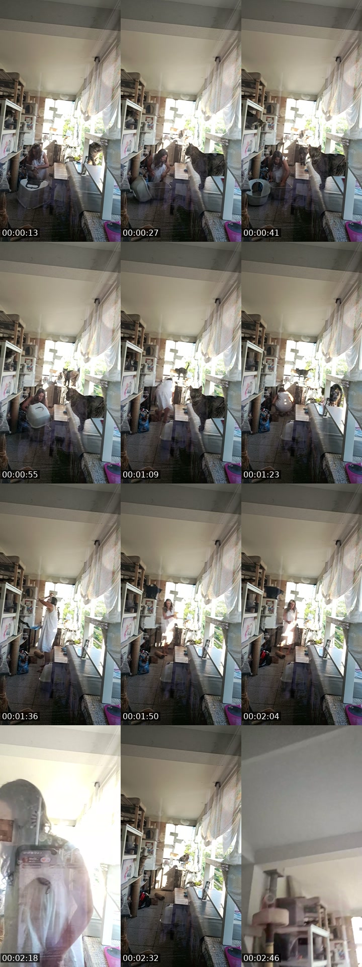@mariaarezes TikTok live from 2026-07-28