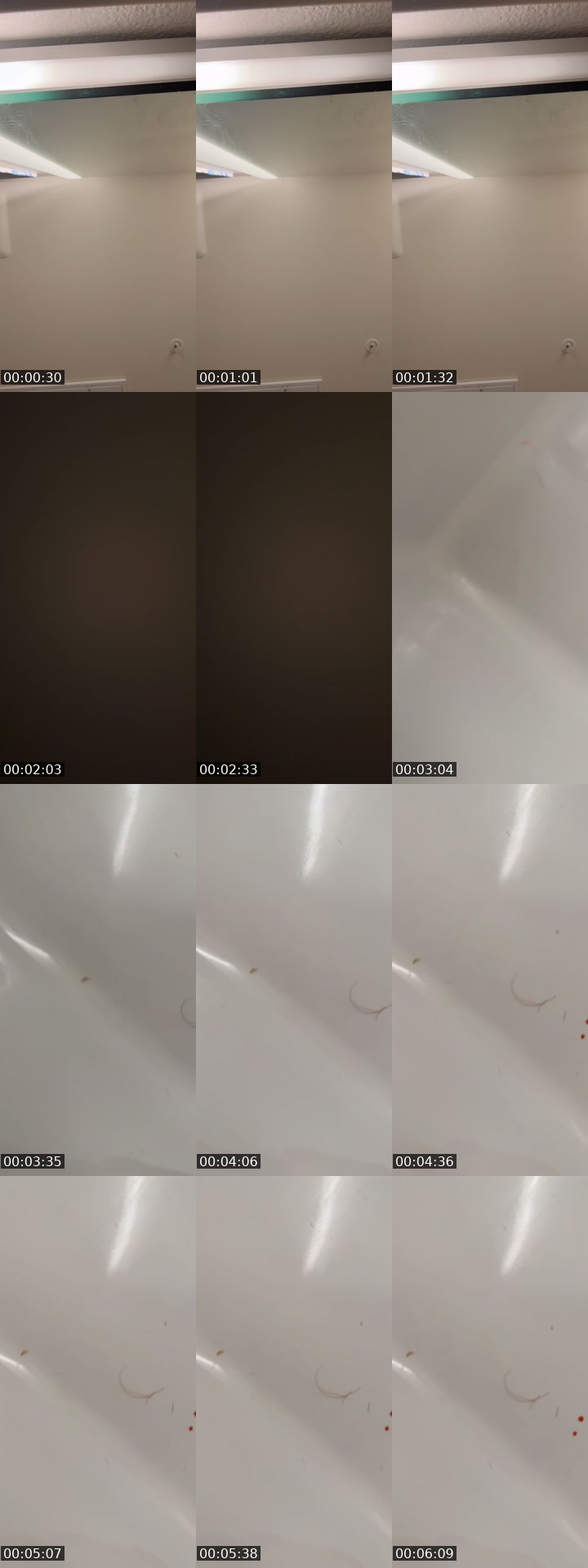 @auddree_ TikTok live from 2026-07-29