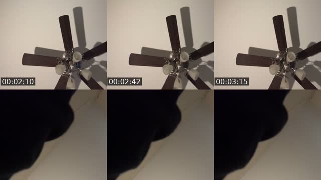 @dakaviaa TikTok live from 2026-07-30