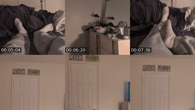 TikTok live: just chilling by @js402749378