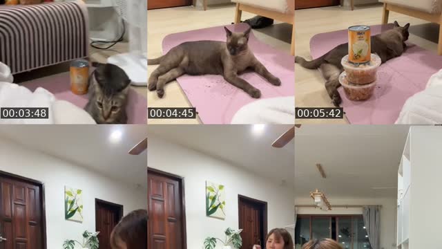 TikTok live: ถึงบ้านแล้วค่ะ by @tuazorfamily