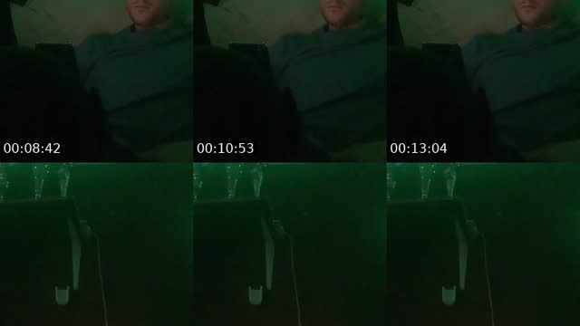 @antonlpr TikTok live from 2026-07-29