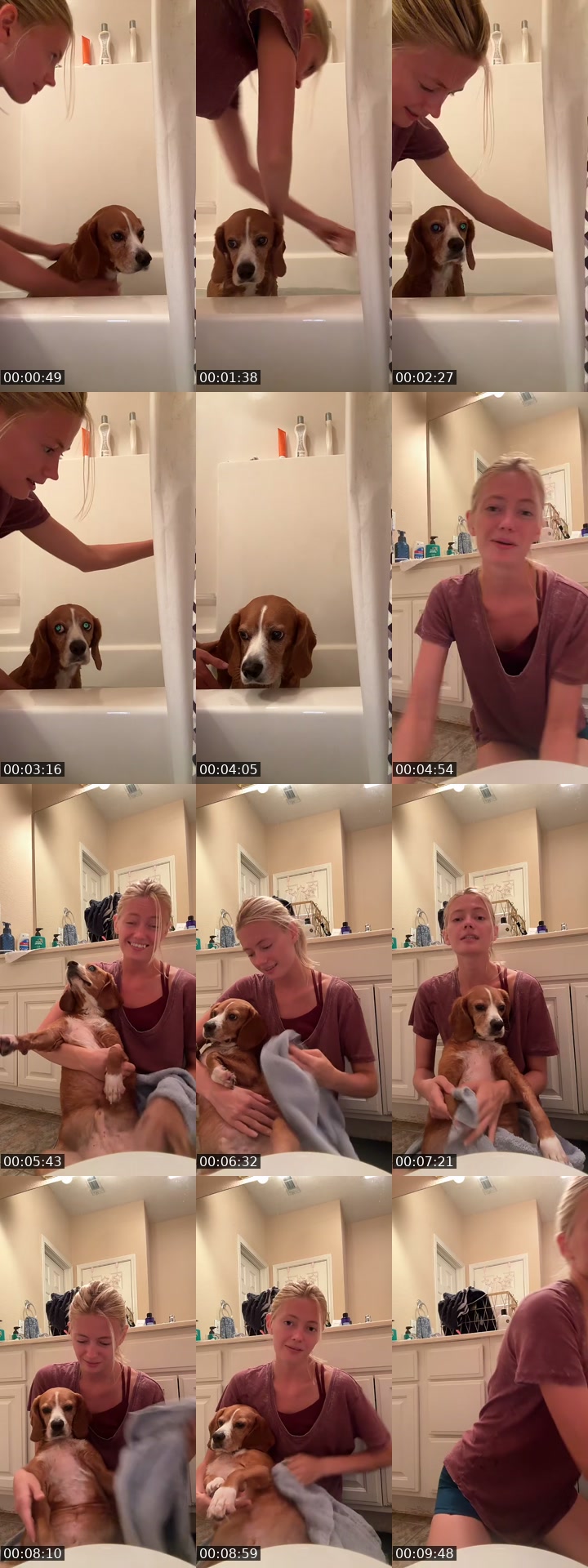 TikTok live: Washing a sweet dog by @theefangbarbie