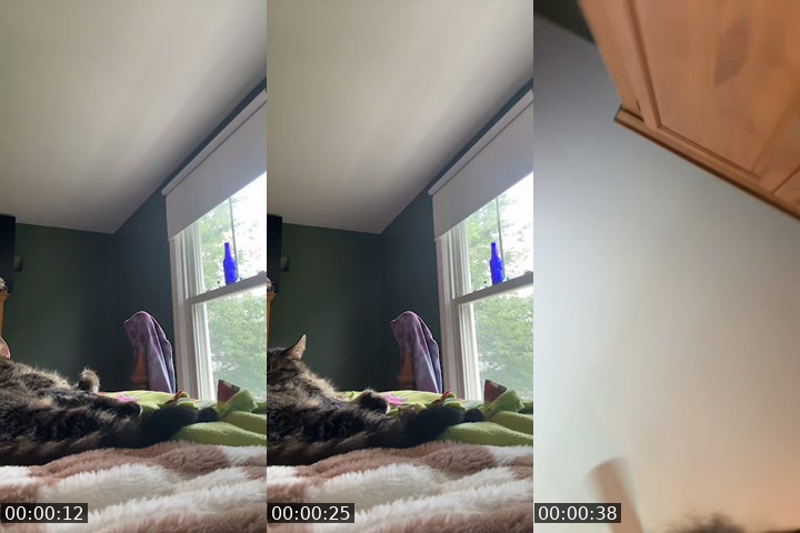 @whitemilkymommy TikTok live from 2026-07-29