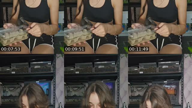 United States TikTok live: WARNING EXOTIC PETS-(I'm 19) by @skys.animal.zoo