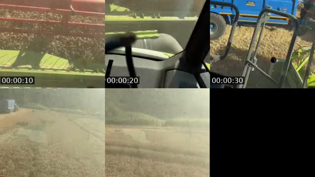 @farmer_dave1 TikTok live