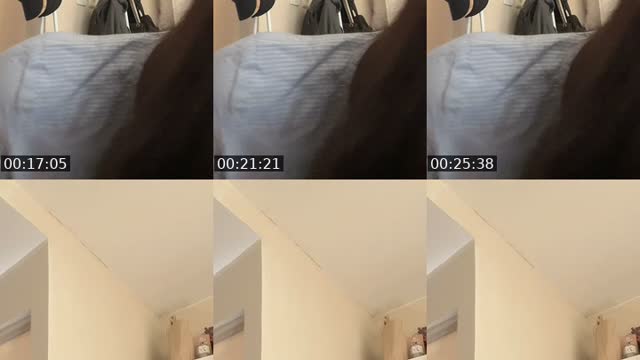 @thisisnotbellaa TikTok live from 2026-07-30