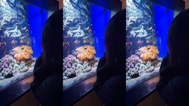 @hinano642 TikTok live