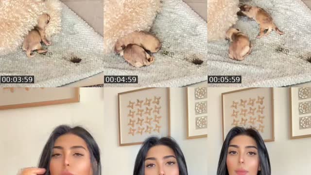 @official.ansam TikTok live from 2026-07-30