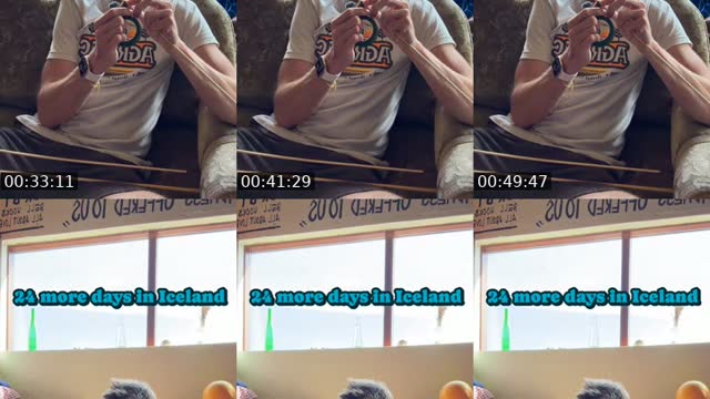 TikTok live: Mission Dandelion: Iceland by @smithingstudios